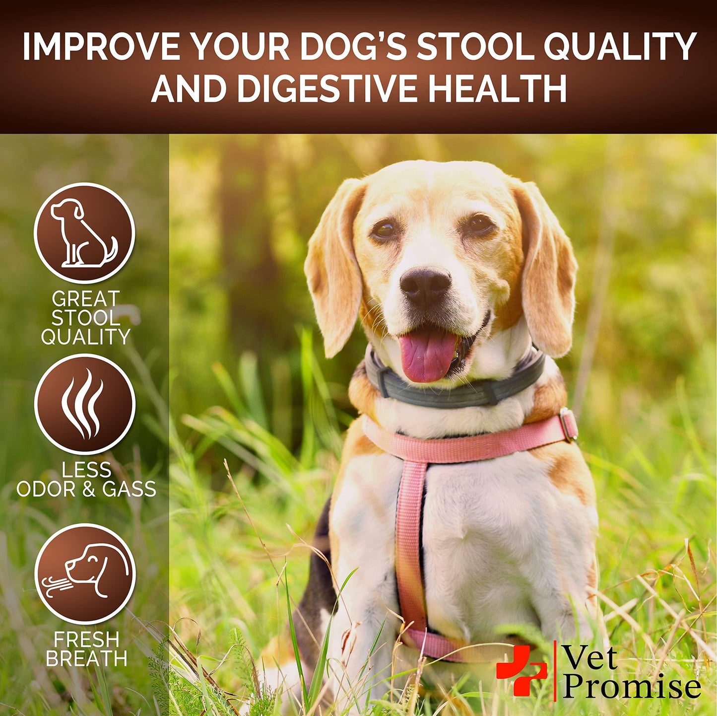 Great Poop Probiotics for Dogs Dog Stool Softener Fiber for Dogs
